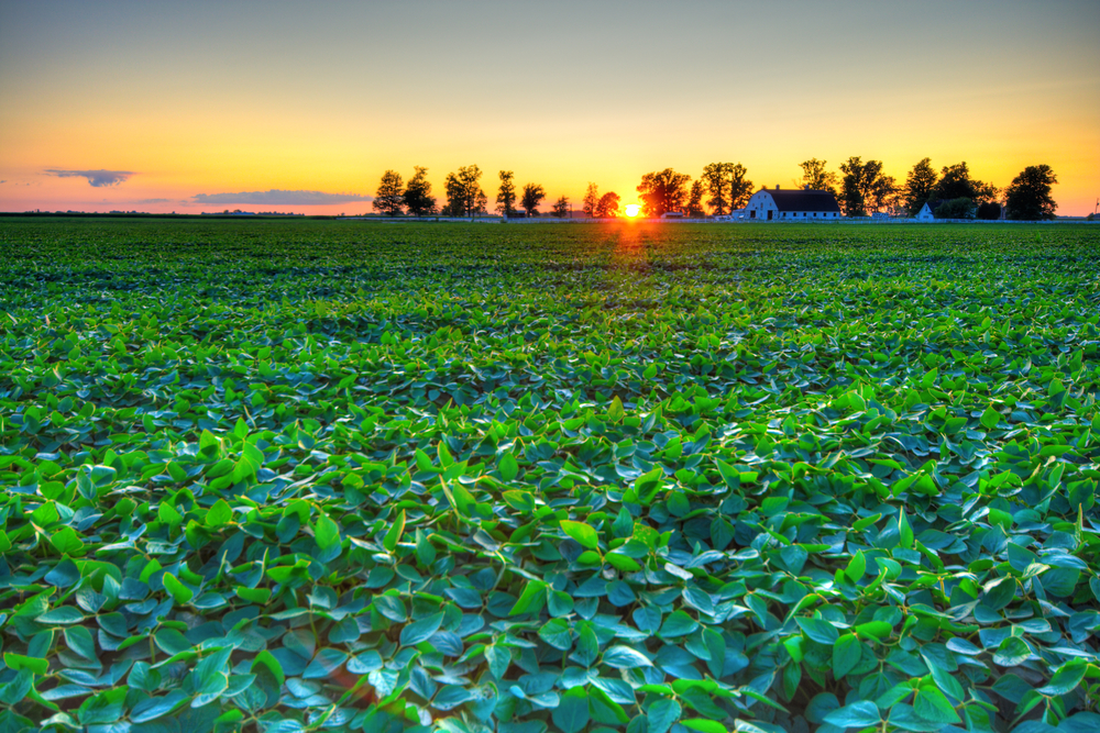 Country sunset Beautiful sunset at a farm in Central Indiana. HDR image